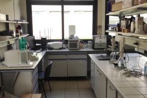 ΧΗΜΕΙΟ ΑΝΑΛΥΣΗΣ ΜΟΝΩΤΙΚΩΝ ΛΑΔΙΩΝ ΜΕΤΑΣΧΗΜΑΤΙΣΤΩΝ 6