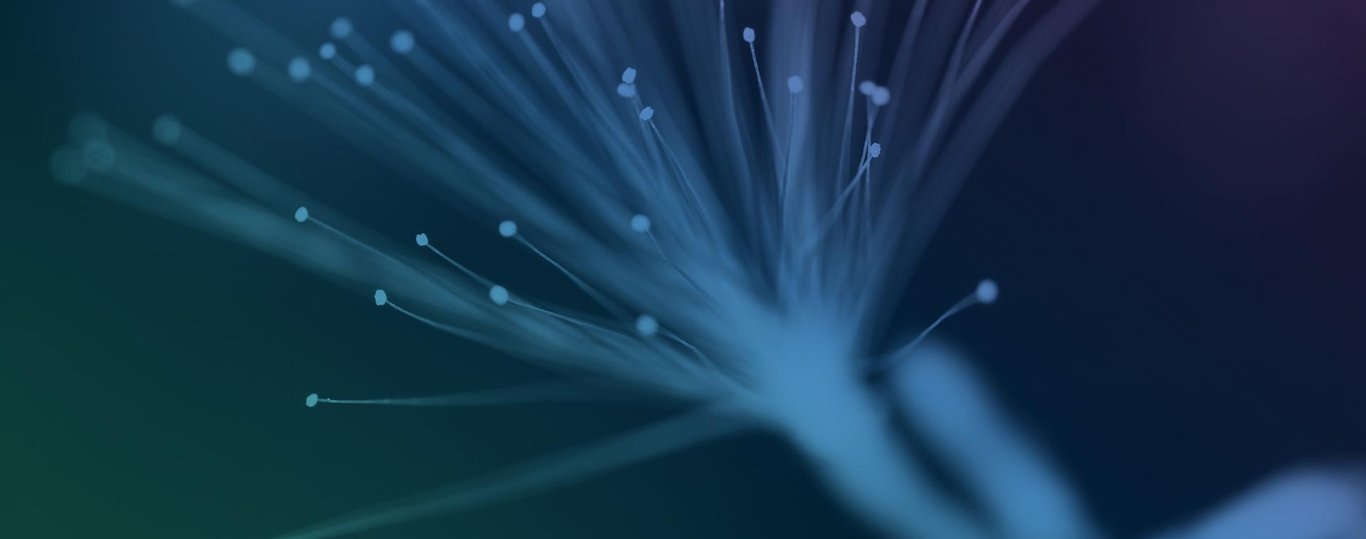 GRID TELECOM και WIND υπογράφουν σύμβαση μίσθωσης οπτικών ινών